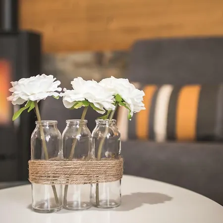 Orazur: Charming With Wood Stove And Garden Apartment *